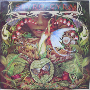 Spyro Gyra – Morning Dance (Vinyl LP Album, 1979)